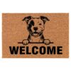 il 1000xN.5145587970 4cca - Coir Doormat UK Store